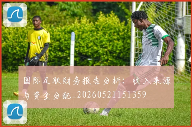 国际足联财务报告分析：收入来源与资金分配_20260521151359